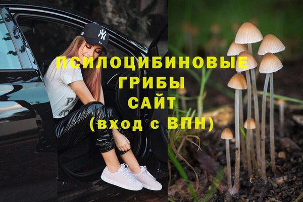 гидра Алзамай