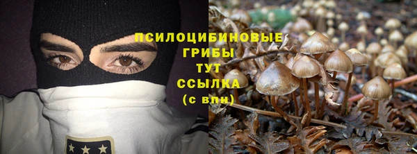 экстази Алексин