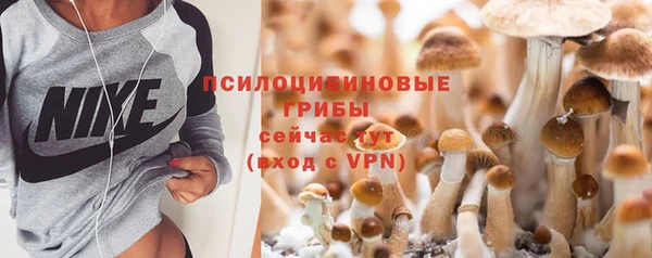 экстази Алексин