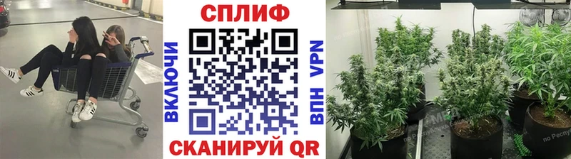 МАРИХУАНА семена купить наркотики сайты Глазов